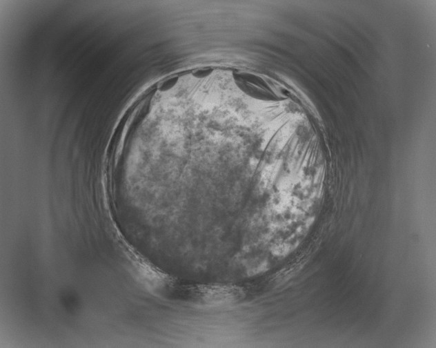 X0000082170899200702162258