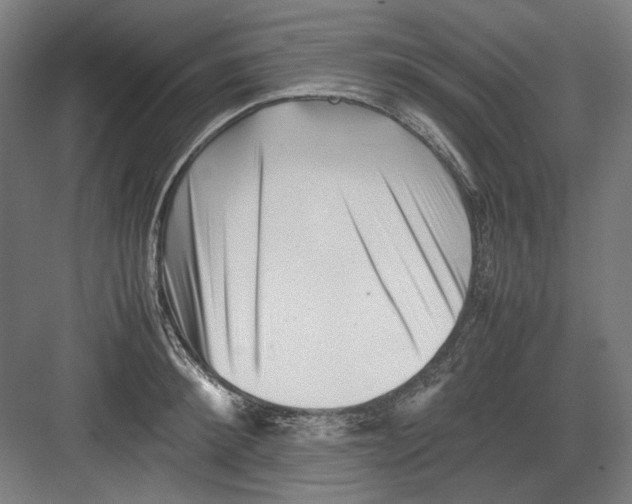 X0000082170900200702162258