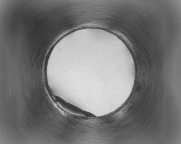 X0000082170902200702162258