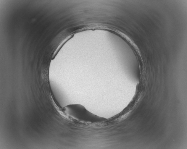 X0000082170905200702162258