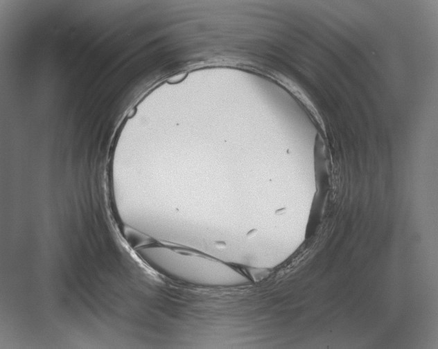 X0000082170906200702162258