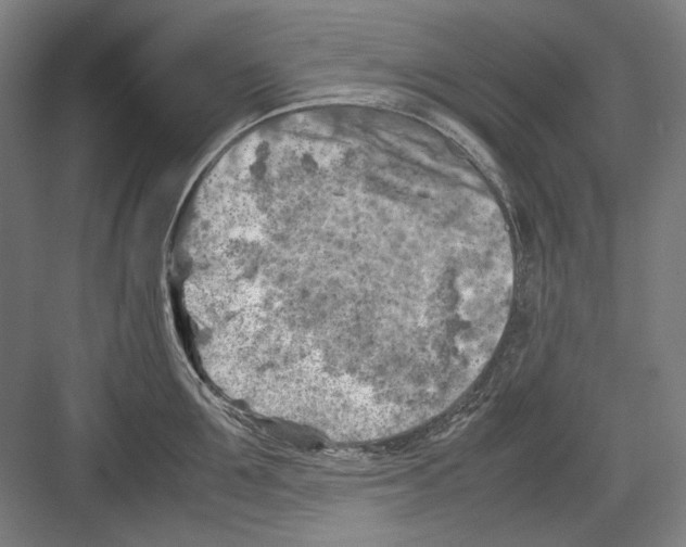 X0000082170907200702162258