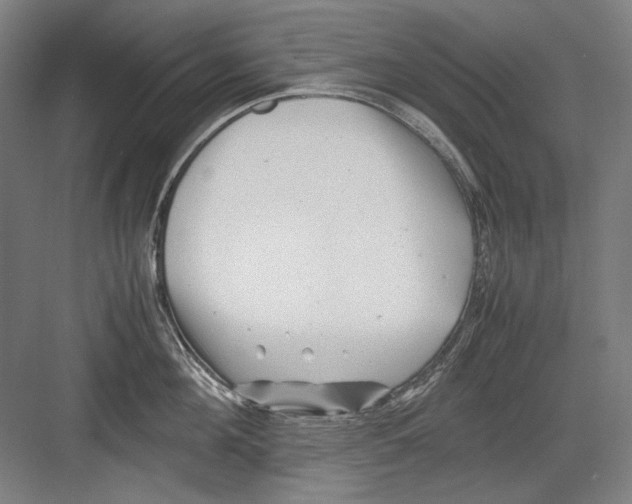 X0000082170908200702162257