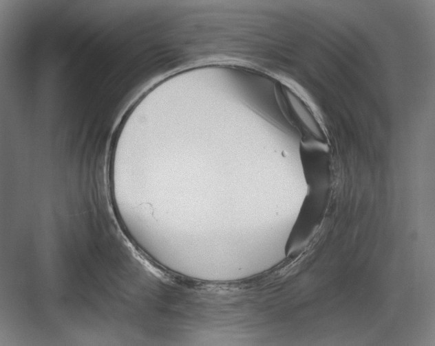 X0000082170910200702162257