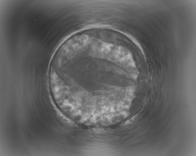 X0000082170911200702162257