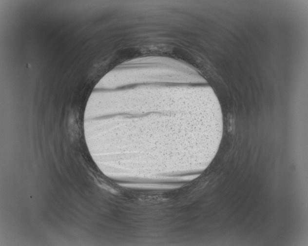 X0000082170915200702162257