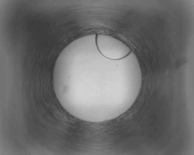 X0000082170916200702162257