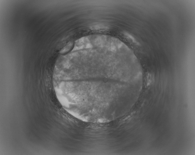 X0000082170917200702162257