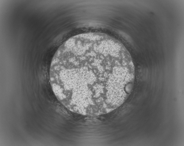 X0000082170918200702162257