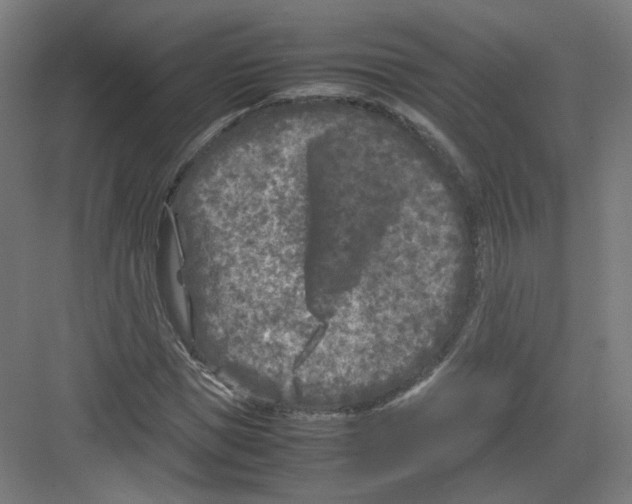 X0000082170921200702162257