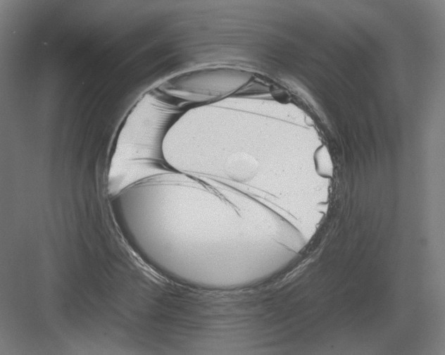 X0000082170924200702162257