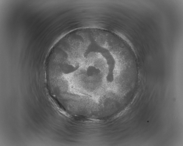 X0000082170925200702162257