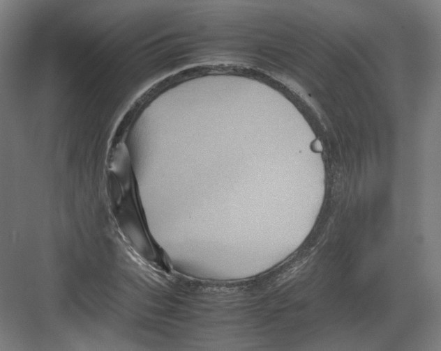 X0000082170927200702162257