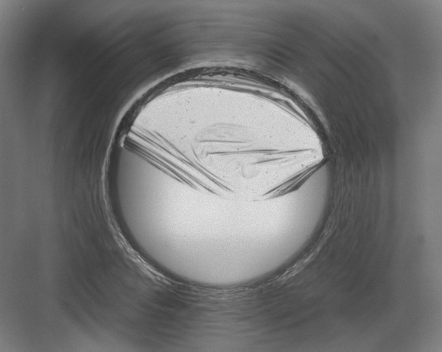 X0000082170928200702162257