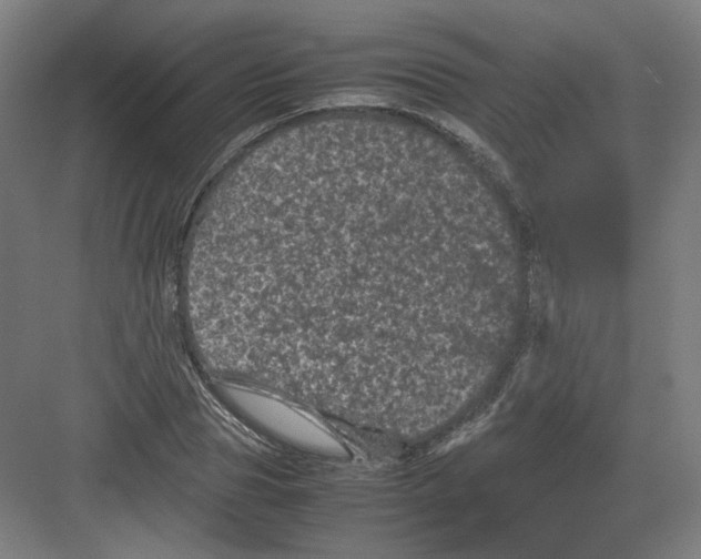 X0000082170929200702162257