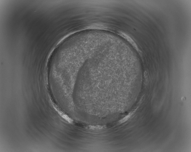 X0000082170931200702162257