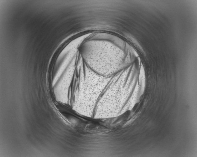 X0000082170932200702162257