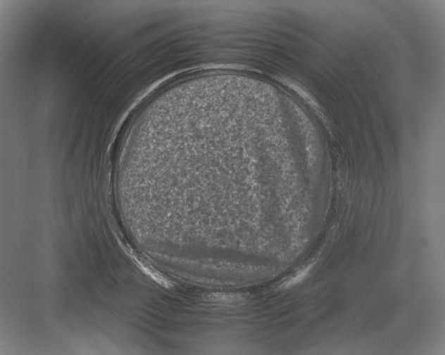 X0000082170933200702162257