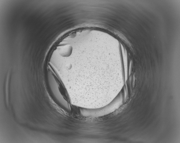 X0000082170934200702162257