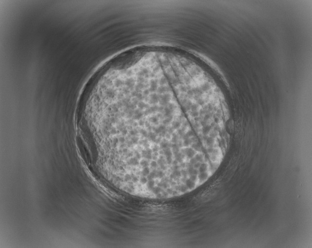 X0000082170935200702162257