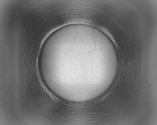 X0000082170936200702162257