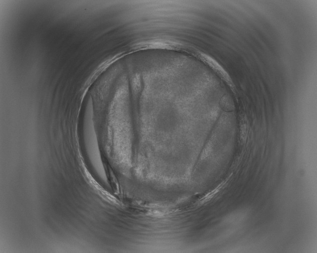 X0000082170938200702162257