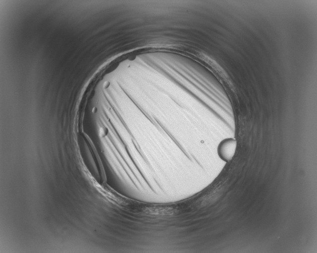 X0000082170939200702162257