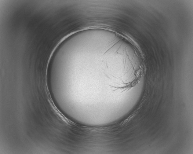 X0000082170940200702162257