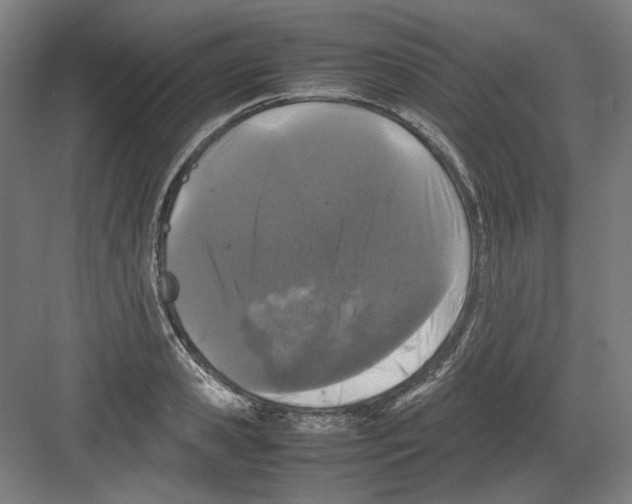 X0000082170941200702162257