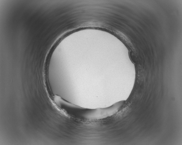 X0000082170942200702162257