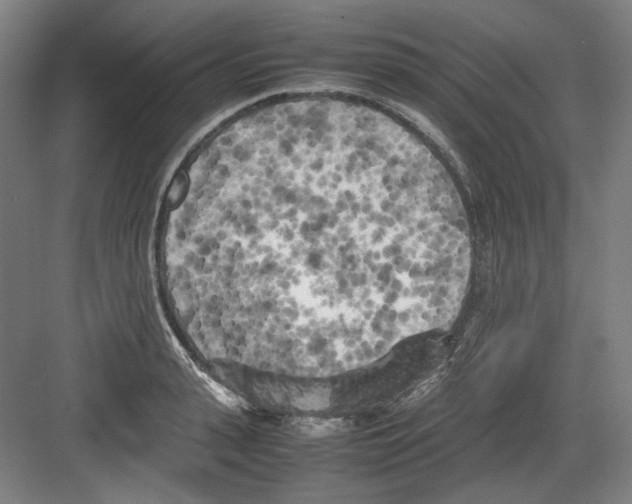 X0000082170943200702162257