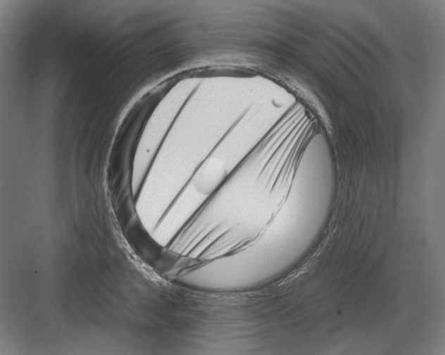 X0000082170944200702162257