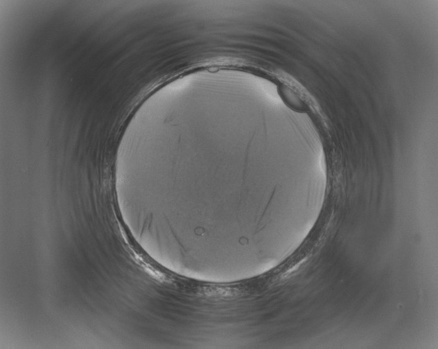 X0000082170945200702162257