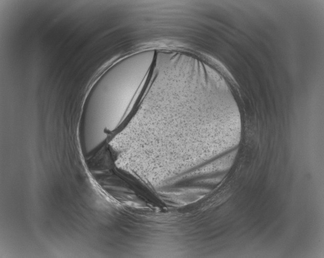 X0000082170946200702162257