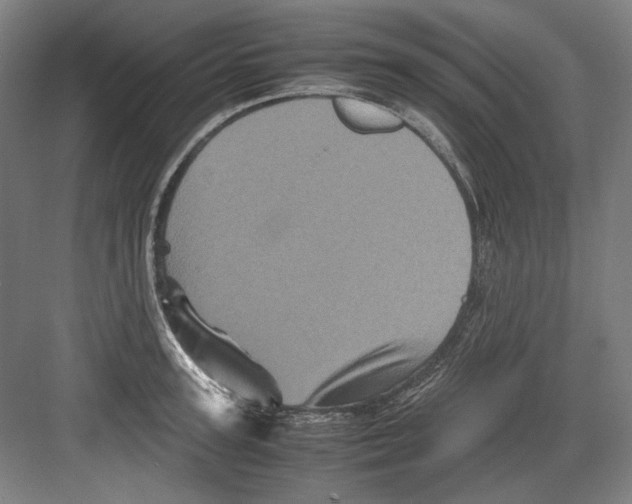 X0000082170947200702162257