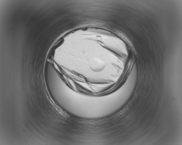 X0000082170948200702162257