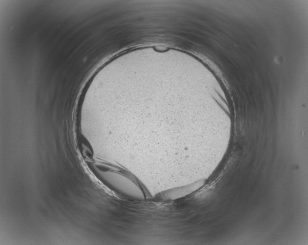 X0000082170949200702162257