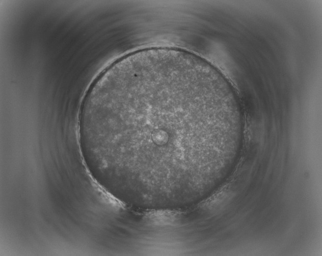 X0000082170950200702162257