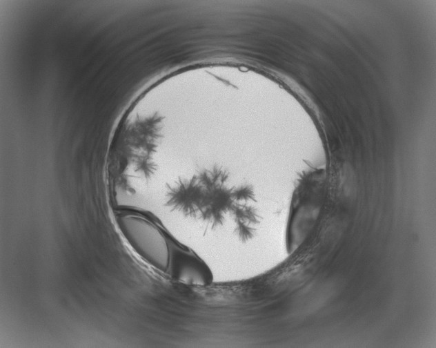 X0000082170951200702162257
