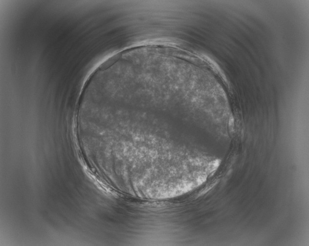 X0000082170952200702162257