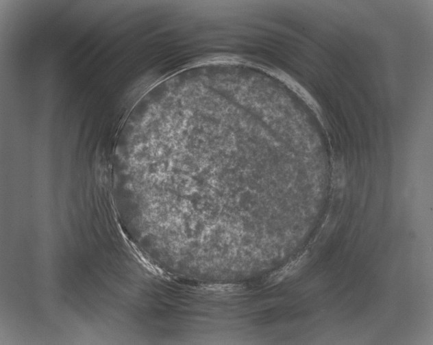 X0000082170953200702162257