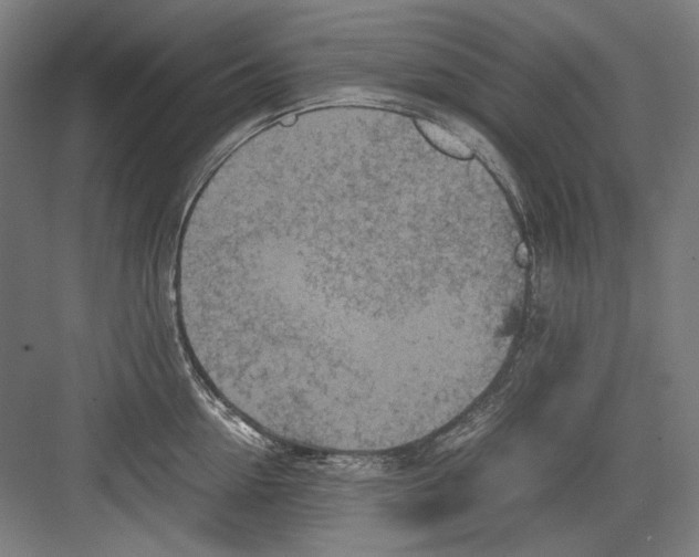 X0000082170954200702162257