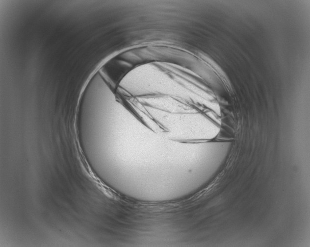 X0000082170956200702162257