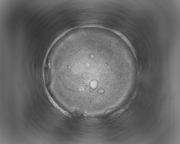 X0000082170957200702162257