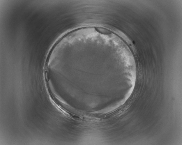 X0000082170958200702162257