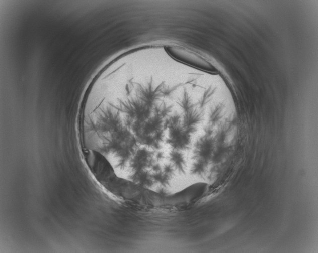 X0000082170959200702162257