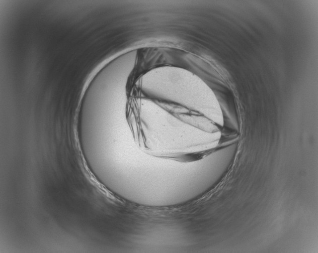 X0000082170960200702162257