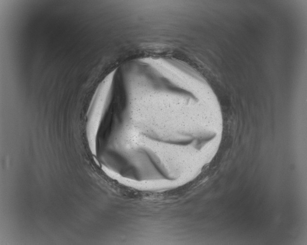 X0000082170961200702162257