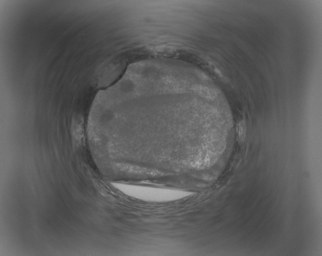 X0000082170963200702162257