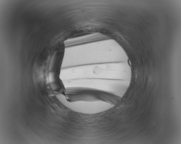 X0000082170964200702162257